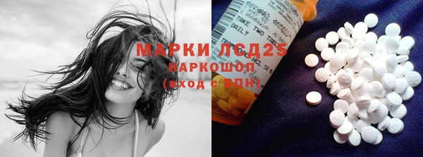 гидра Богородицк