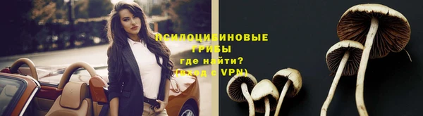 мдпв Сосновый Бор