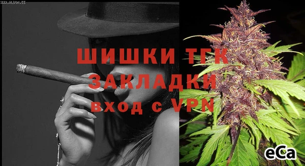 твердый Белокуриха