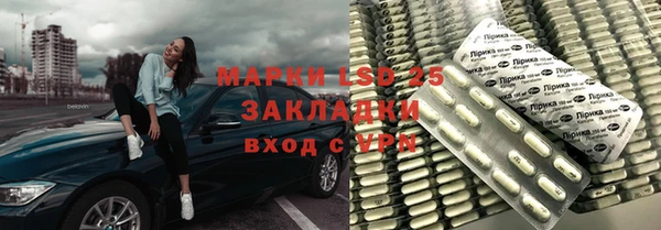 гидра Богородицк