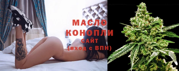 гидра Богородицк