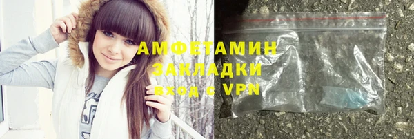 гидра Богородицк