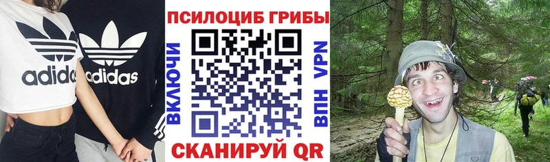 ОМГ ОМГ ССЫЛКА  Буйнакск  дарк нет формула  Галлюциногенные грибы Magic Shrooms 