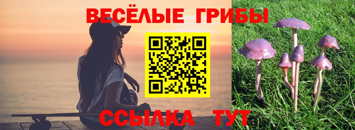 Псилоцибиновые грибы ЛСД  Вход с VPN  Буйнакск 