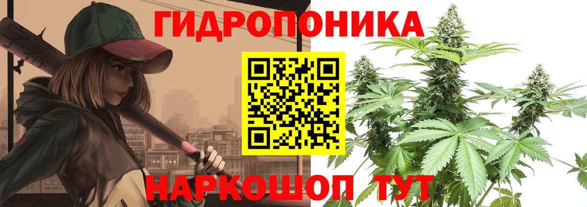 Конопля ГИДРОПОН  МАРИХУАНА сатива  Буйнакск  Вход с VPN 